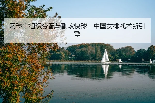 diao-lin-yu-zu-zhi-fen-pei-yu-fu-gong-kuai-qiu-zhong-guo-nv-pai-zhan-shu-xin-yin-qing-3-765.jpg