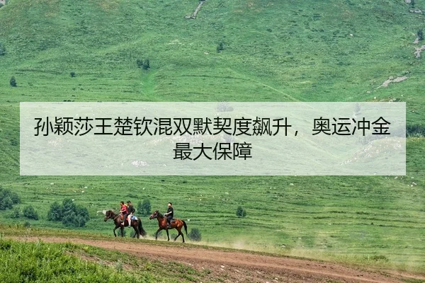 孙颖莎王楚钦混双默契度飙升，奥运冲金最大保障