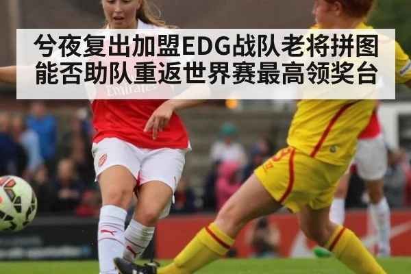 兮夜复出加盟EDG战队老将拼图能否助队重返世界赛最高领奖台